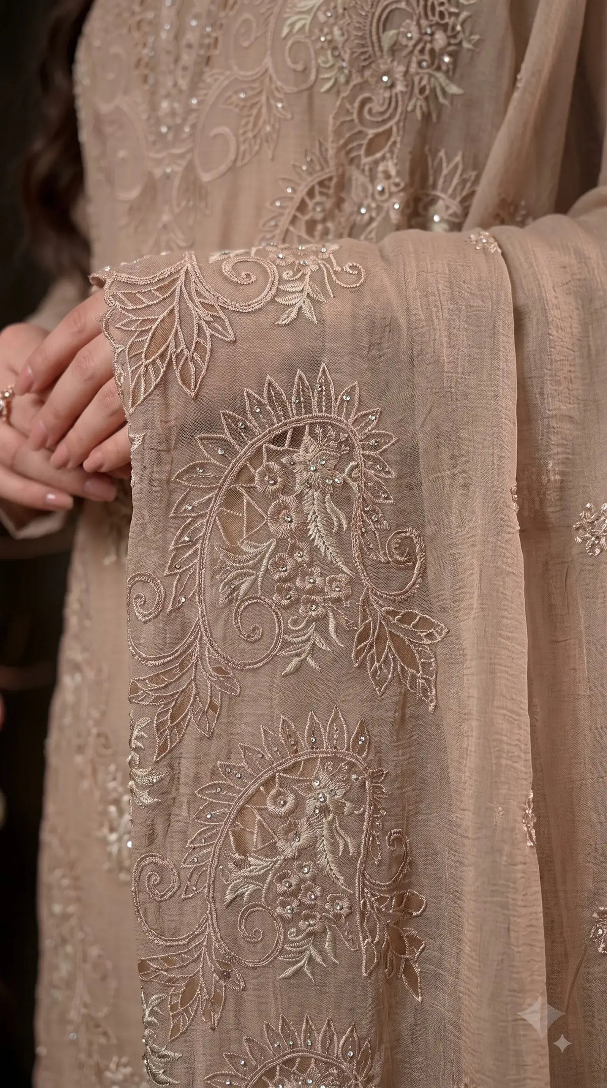 Premium Designer Taupe Beige Marble Chiffon Suit with Cutwork Embroidery & Swarovski Work